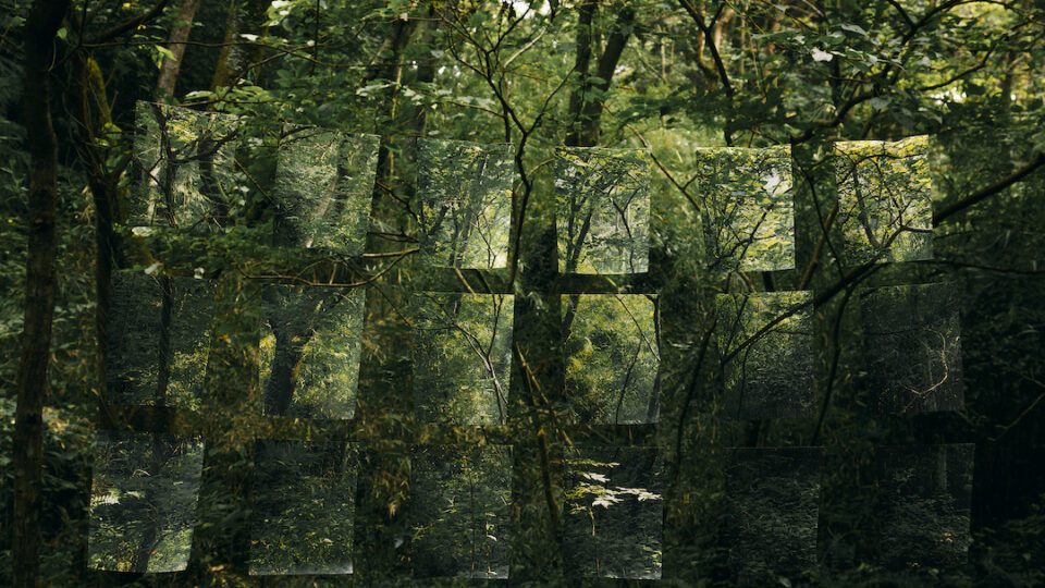 The-sound-of-the-wind-09-