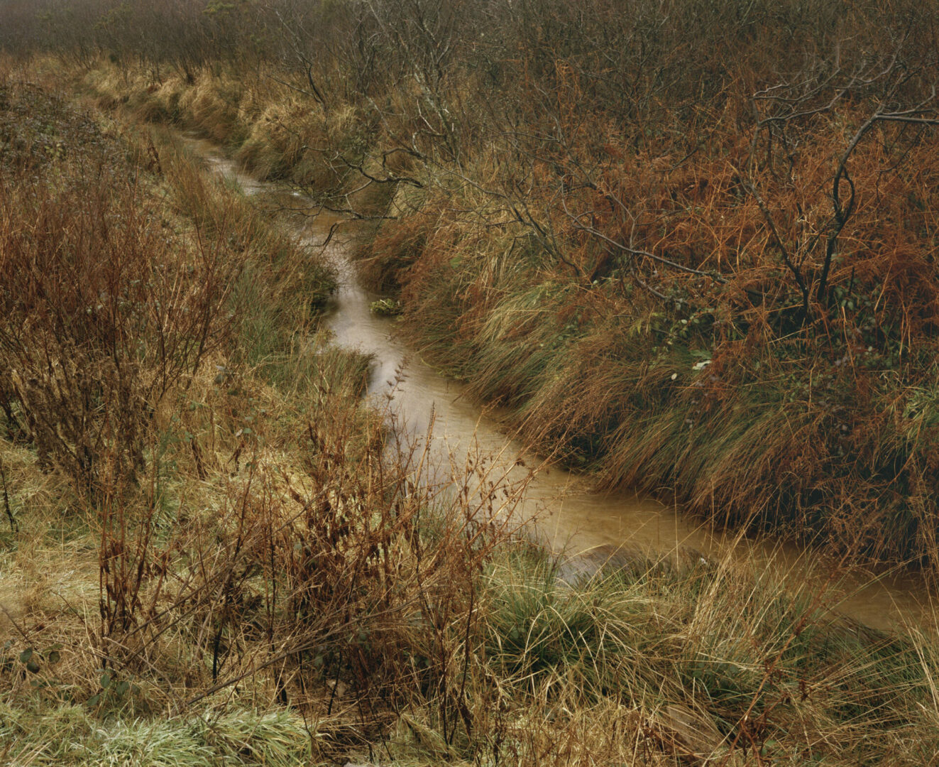 Aesthetica Magazine - Changing Landscapes