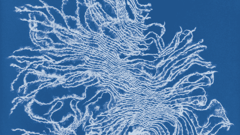 Confronting Pollution