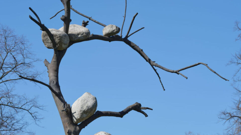 Giuseppe Penone: Art and Nature