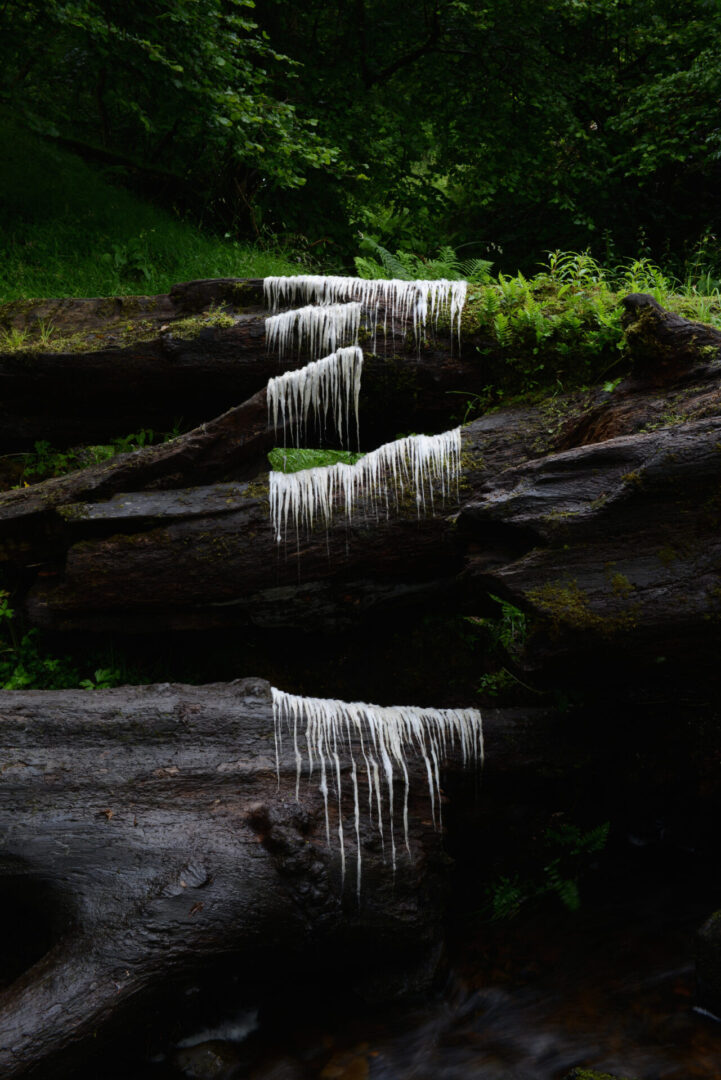 Aesthetica Magazine - Andy Goldsworthy: <br> Sculpting the Natural
