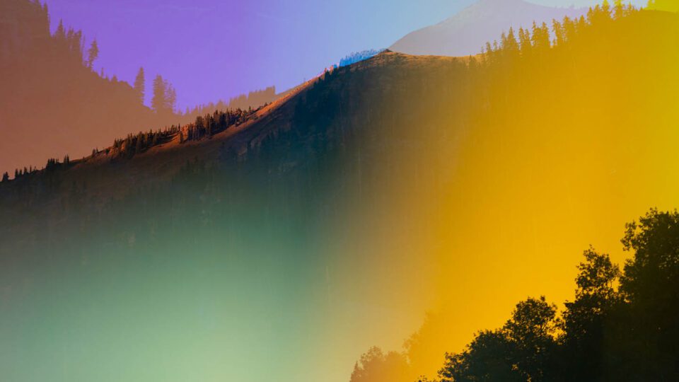 Meet Five Photographers<br>Reimagining the Landscape