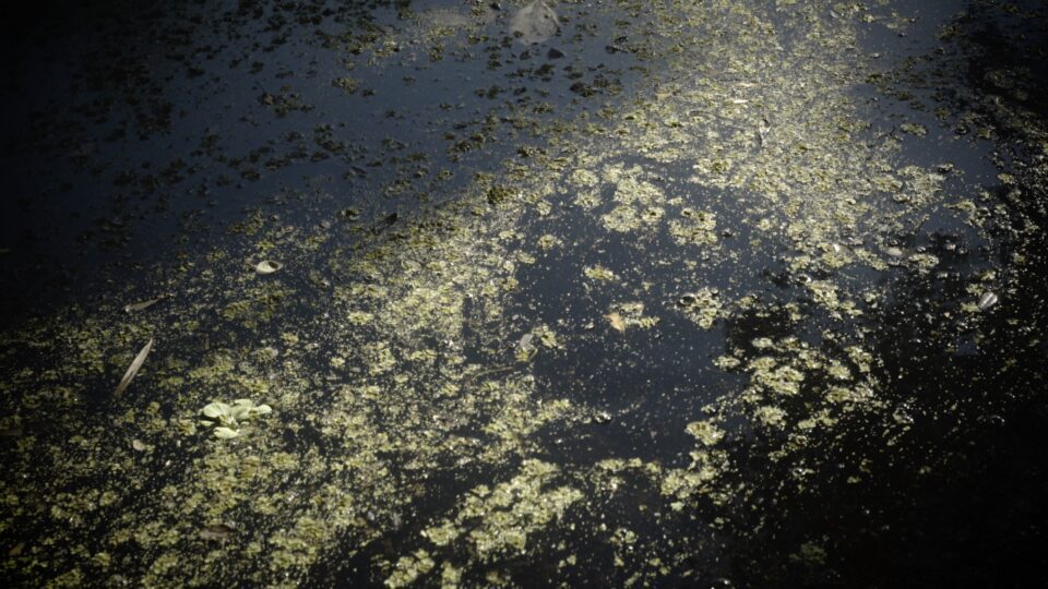 Meet the Aesthetica Art Prize  Shortlist: Susanna Wallin