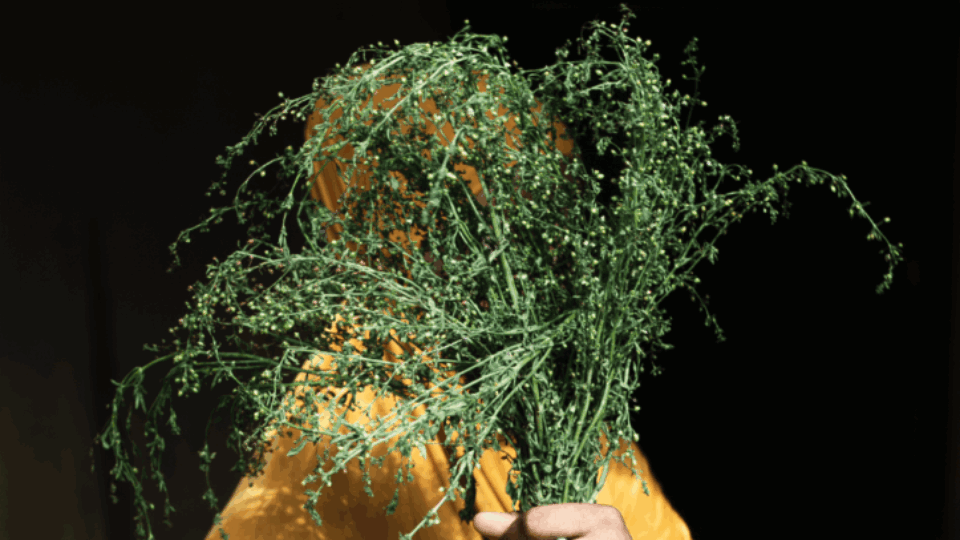 LagosPhoto Biennial 2025: The Expanding Horizons of Photography