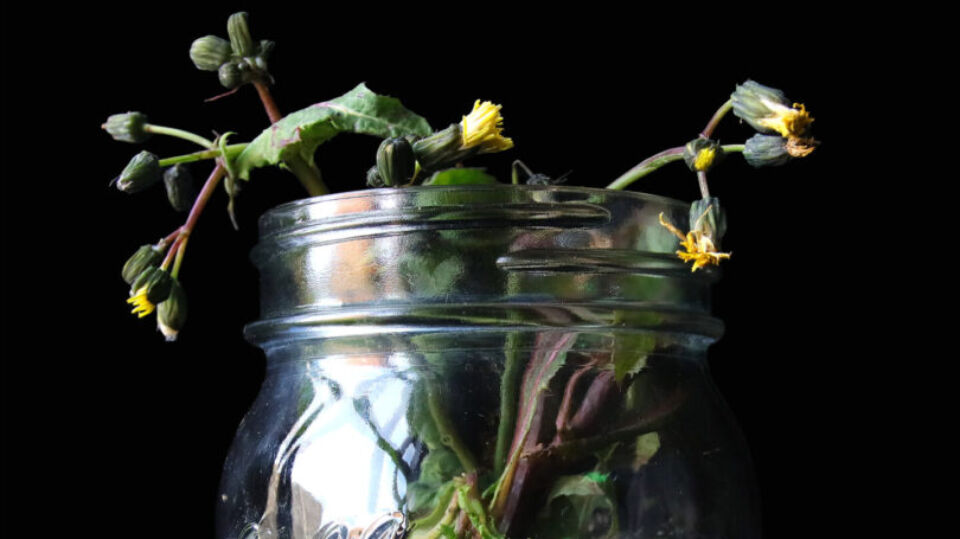 Meet the Aesthetica Art<br>Prize Shortlist: Stephen Johnston