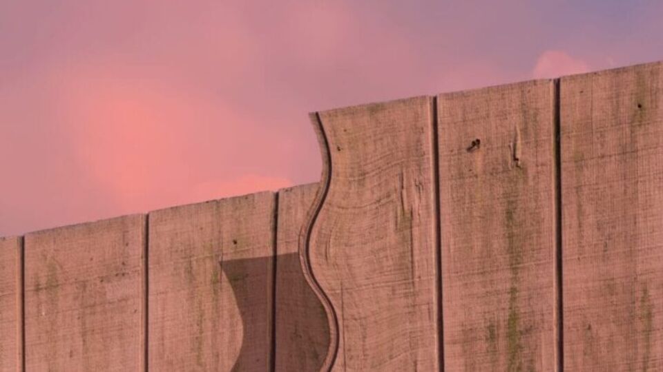 Surrealism in Focus: <br> Image-makers to Know