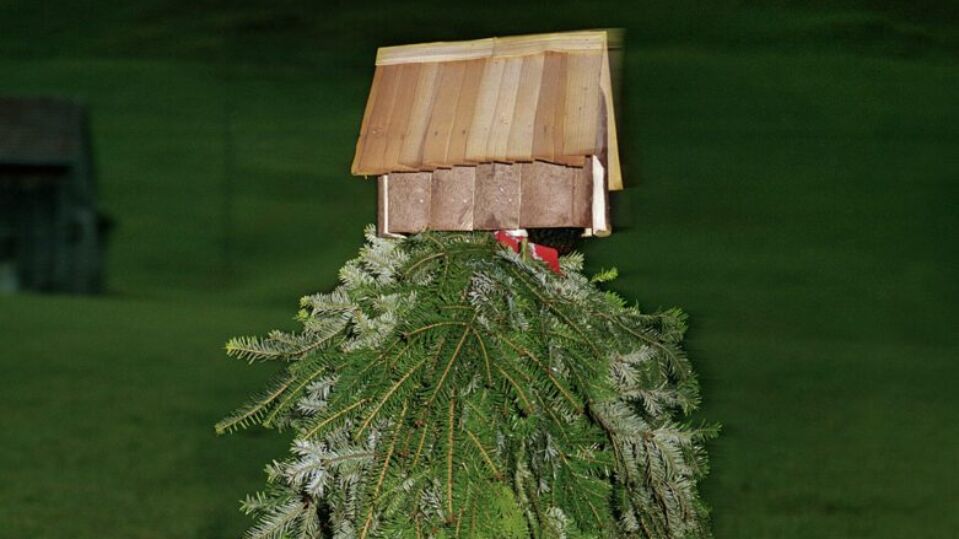 Female. Focus. Photo Archives: <br> Reimagining Swiss Photography