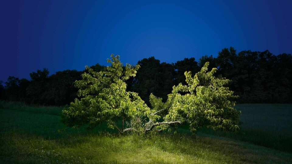 Sculpting with Light