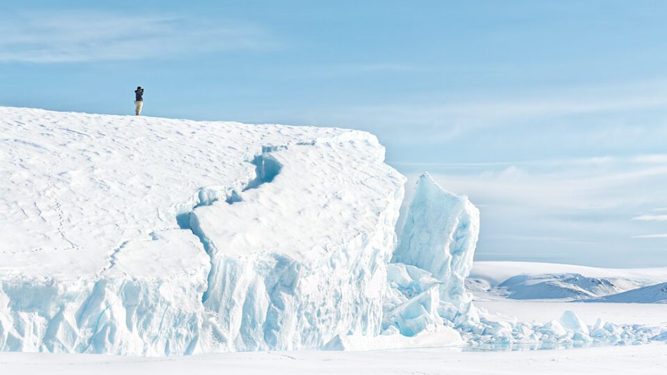 Five Exhibitions for Earth Day