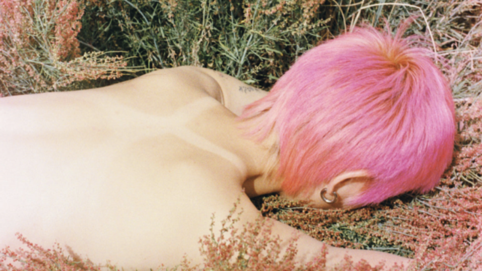 The Poetics of Desire