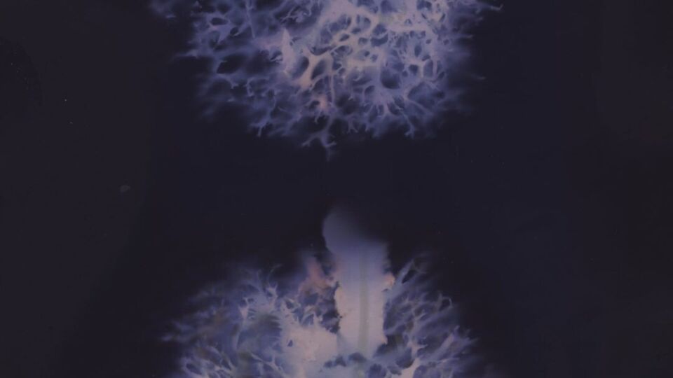 Learning Without Walls: Inside Falmouth University’s Online Art MA