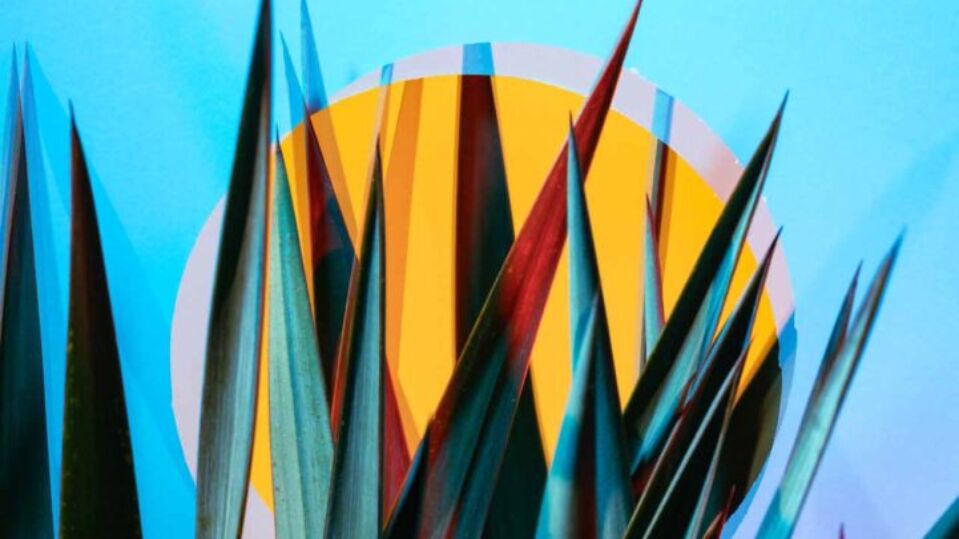 Graphic Playtime