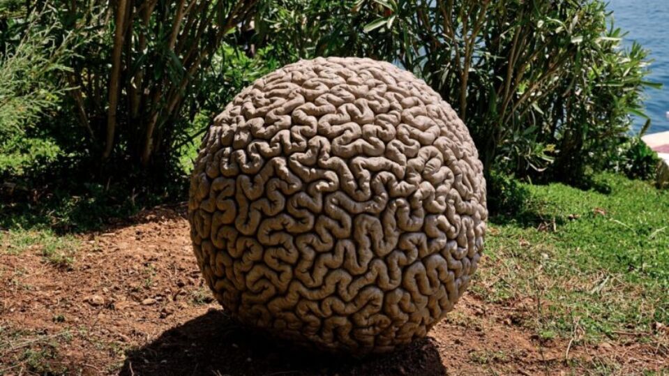 Reconfiguring Perception
