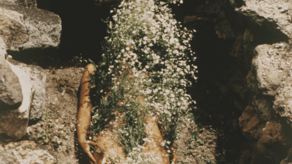 Body as Terrain