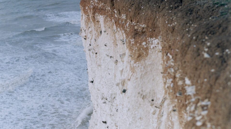 A Major Show Considers <br> the Ties Between Land and Sea