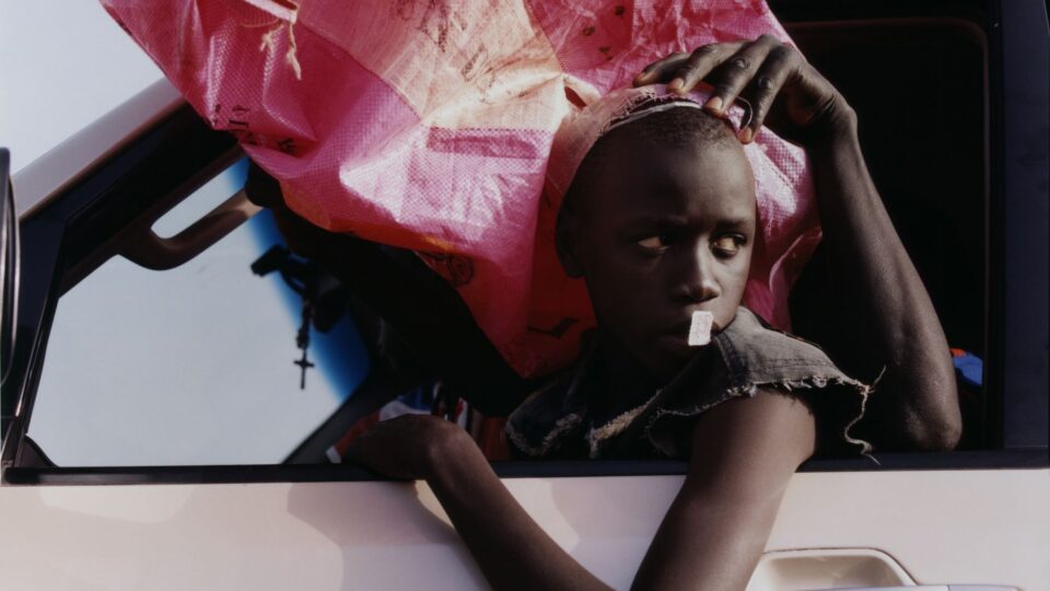 Fragile Beauty: Photography, <br> Desire and the Politics of Looking