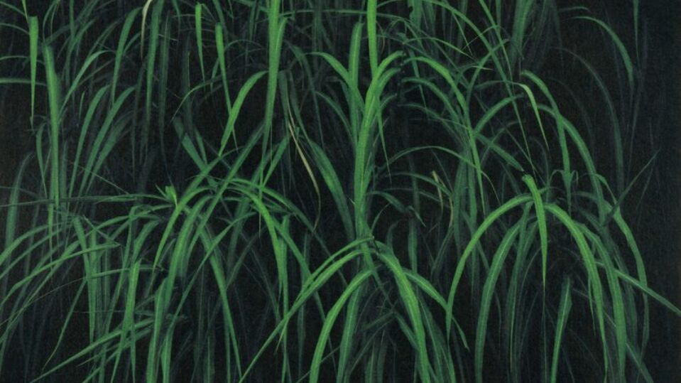 Sayuri Ichida's Prints Reflect<br>on Sisterhood, Memory and Loss