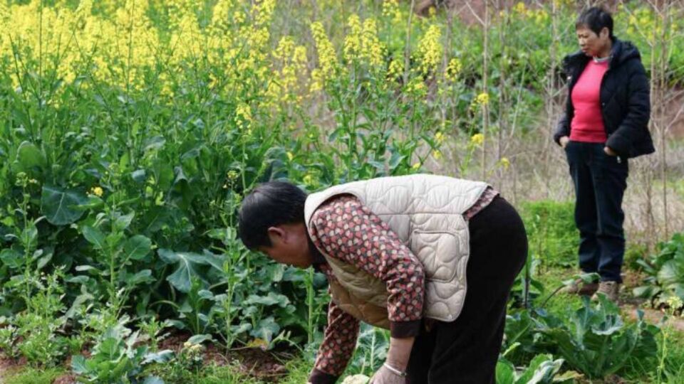 Huiling Chen Documents Life in China’s Rural Communities