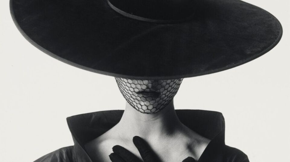 Irving Penn and <br> the Afterlife of Fashion